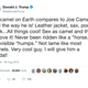 Illustration for article titled Celebrating An Icon: President Trump Has Invited Joe Camel To The White House In Honor Of Being The Coolest Camel He Has Ever Heard Of